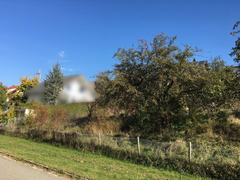 Verwirklichen Sie Ihren Traum vom Neubau-erschlossenes Baugrundstück
