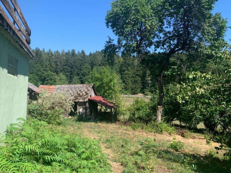 Schönes, großes Grundstück mit Bauernhaus