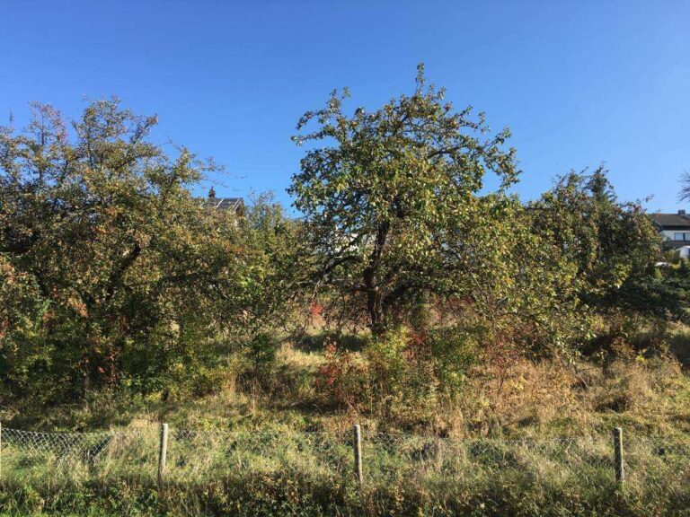Erschlossenes Baugrundstück im Stadtbezirk Weigheim